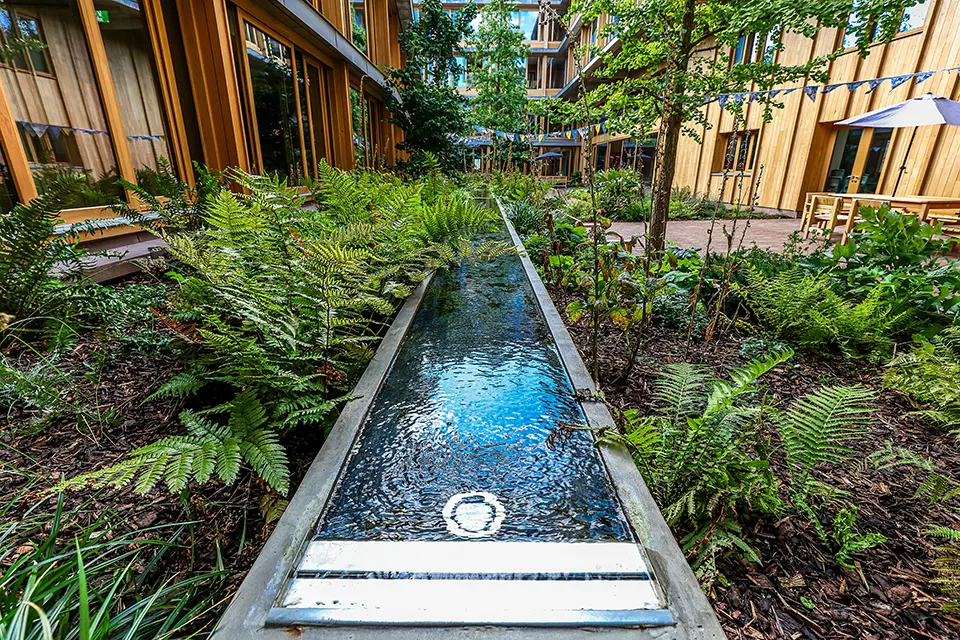 Hampers Landscape Contractors Appleby Blue rill Hampers Landscape Contractors Appleby Blue rill