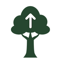 Hampers Landscape Contractors Trees