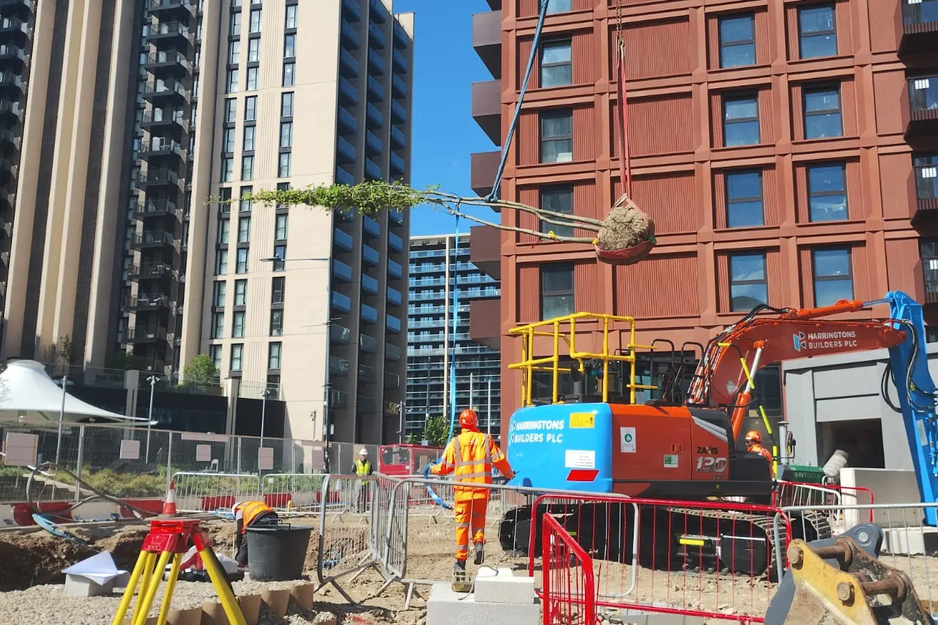 Hampers Landscape Contractors Wembley Tree Lift