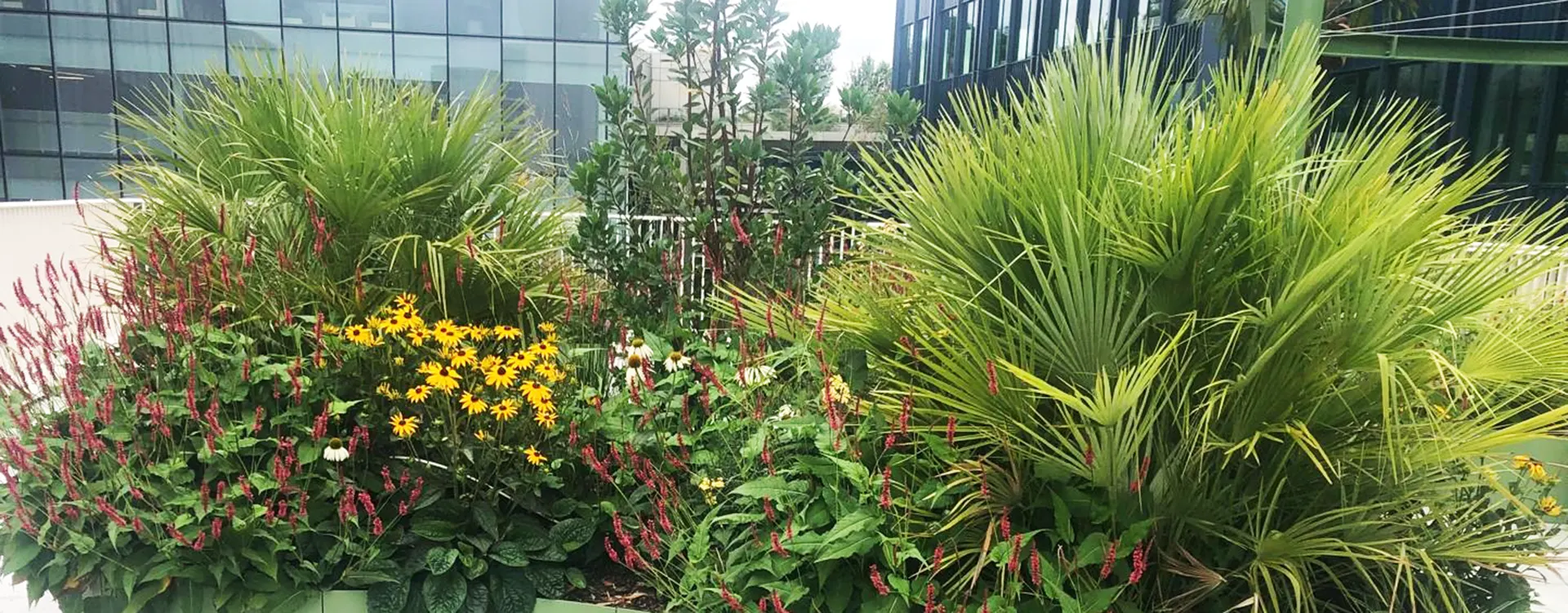 Hampers Landscape Contractors Kings Cross