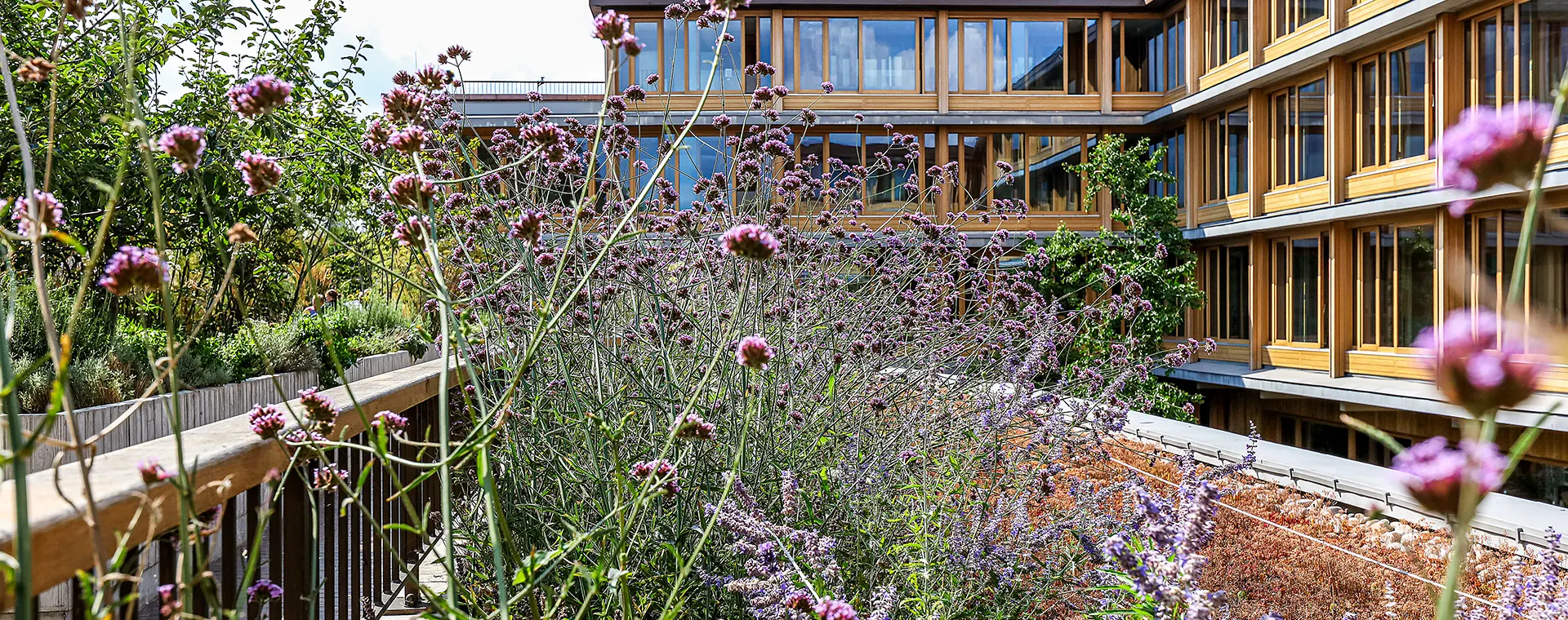 Appleby Blue Roof Garden